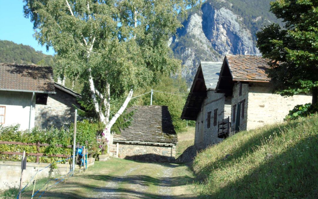 Per L’Autonomia rilanceremo il settore agricolo