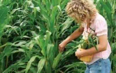 Per L’Autonomia con particolare attenzione all’imprenditoria femminile